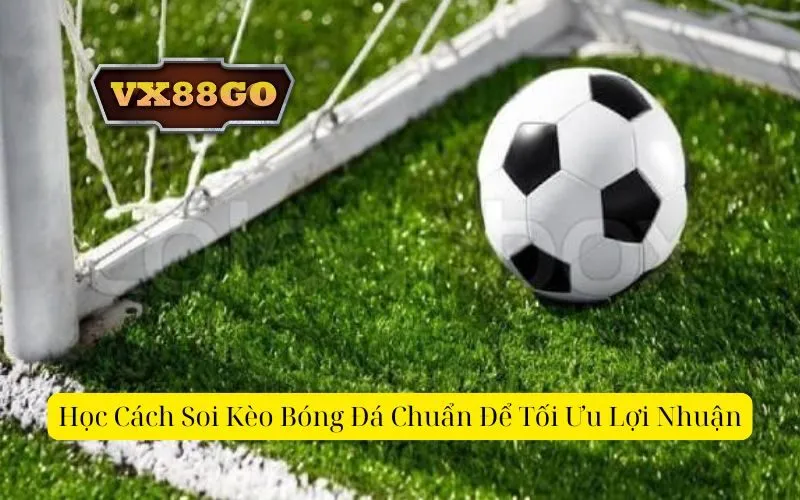 Học Cách Soi Kèo Bóng Đá Chuẩn Để Tối Ưu Lợi Nhuận