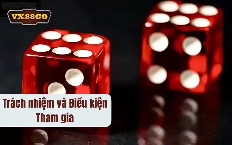 Trách nhiệm và Điều kiện Tham gia